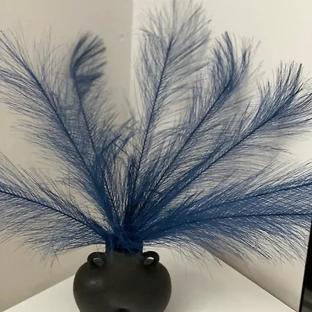 Viale Degli Studenti