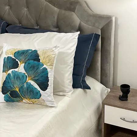 Viale Degli Studenti *