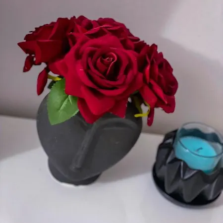 招待所 Viale Degli Studenti 莱切